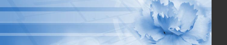 Web Site Design Header